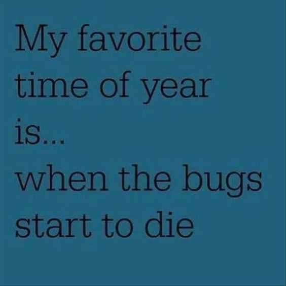 funny bugs die
