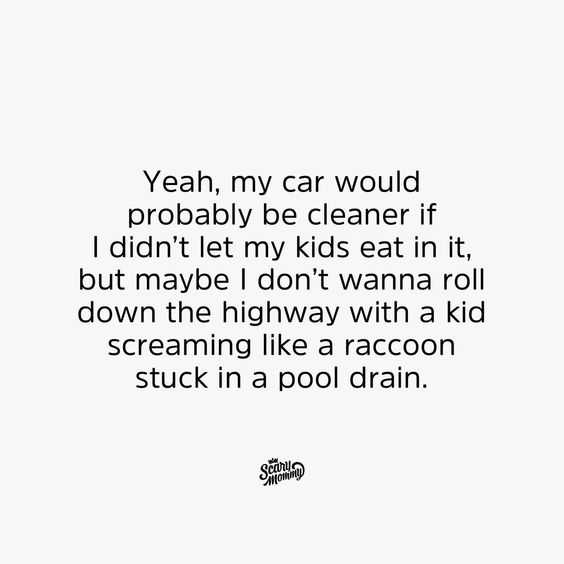 funny roll racoon
