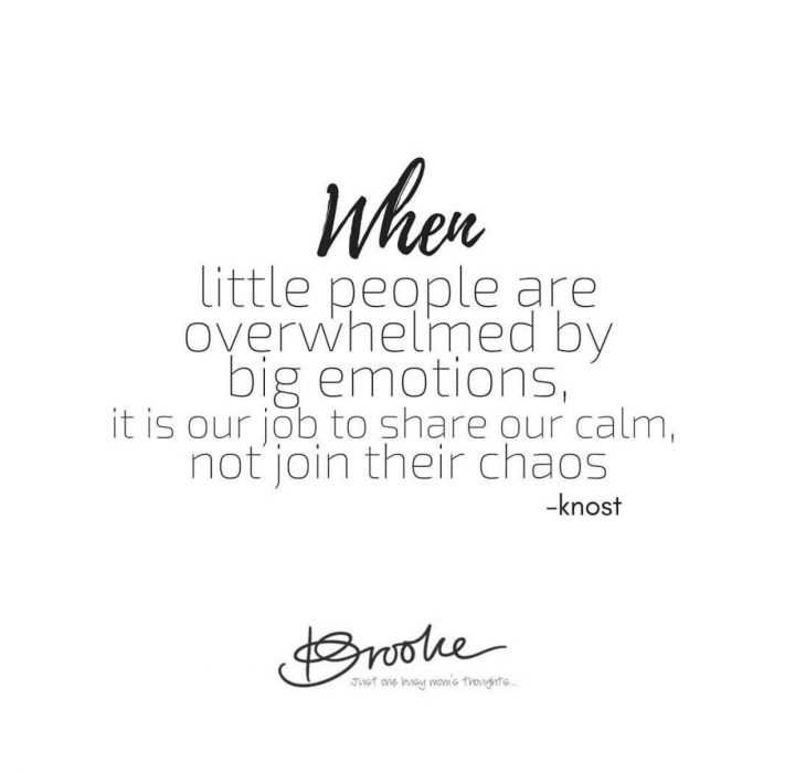 quote little people emotions
