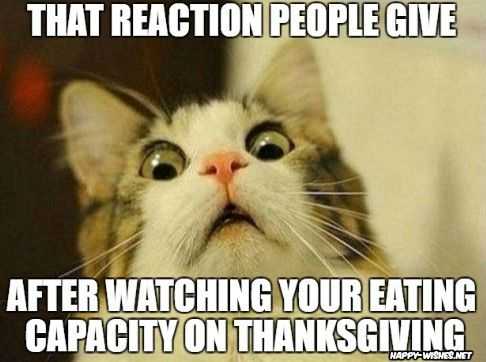 funny thanksgiving lk