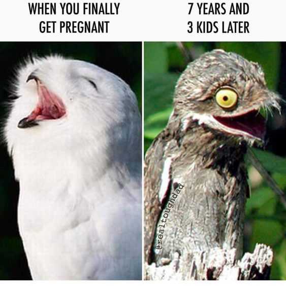 Funny After Kids