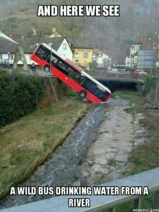 Funny Bus Water