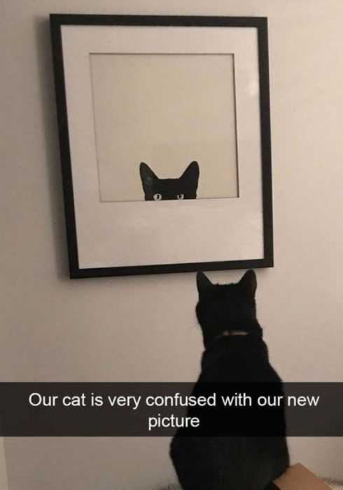 Funny Cnfused