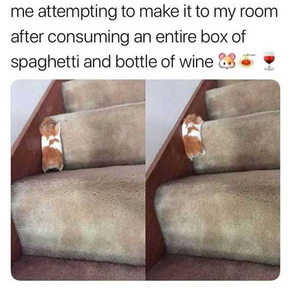Funny Wine Stairs