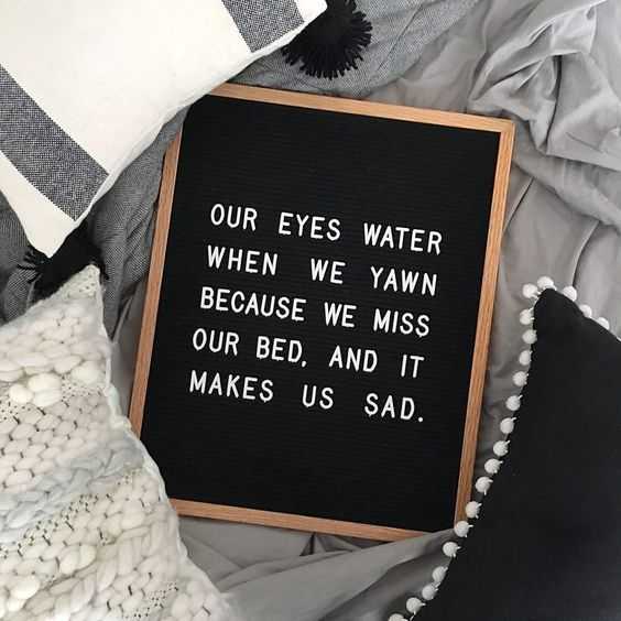 Funny letter board quotes  good observations