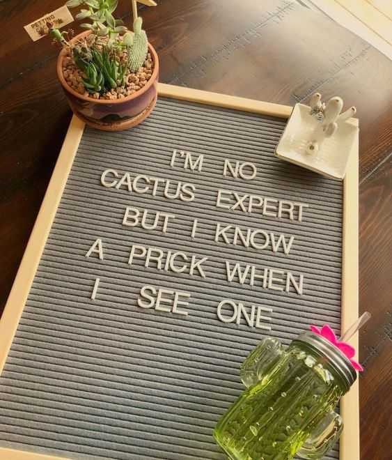 funny letter board memes  for her