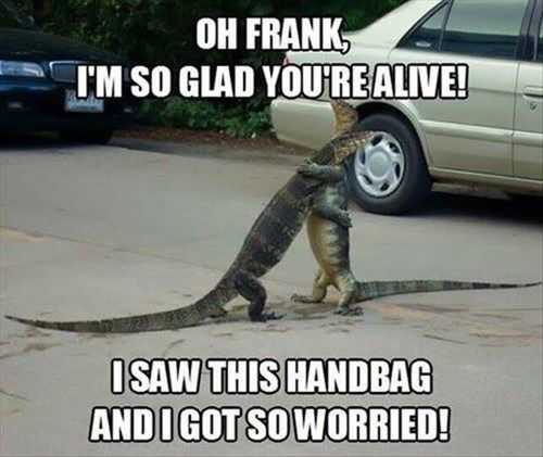 Funny Handbag