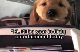 Funny Inflight