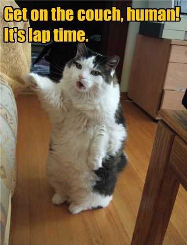 Funny Lap Time