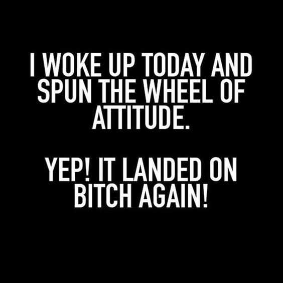 Funny Spun