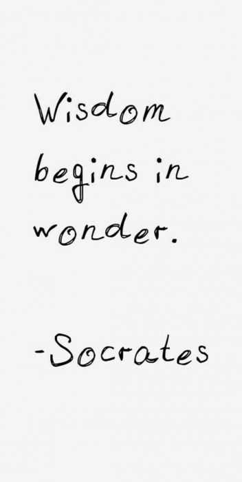 Wnderscares