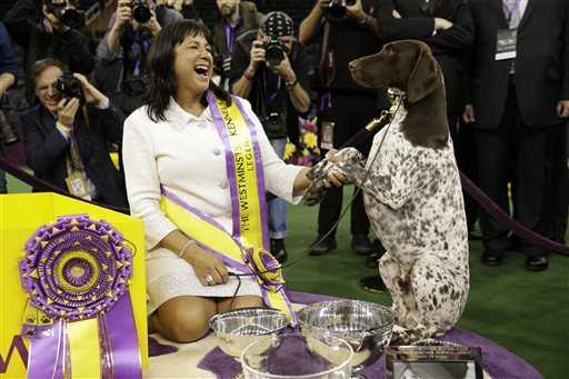 38 Funniest Memes About Dog Shows | dog13 38 Funniest Memes About Dog Shows
