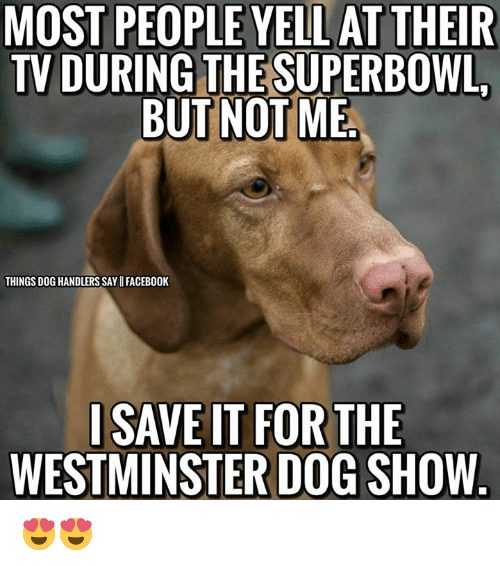 38 Funniest Memes About Dog Shows