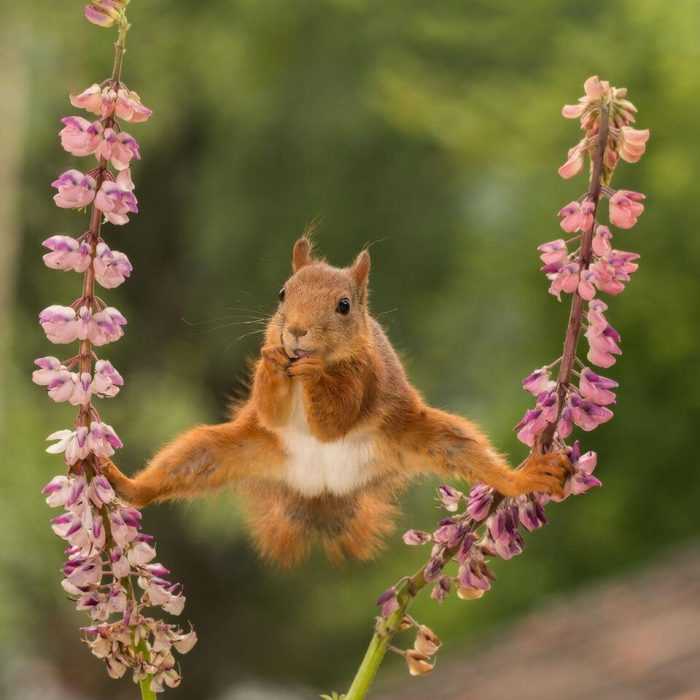 32 Funny Animal Pictures | an8 32 Funny Animal Pictures