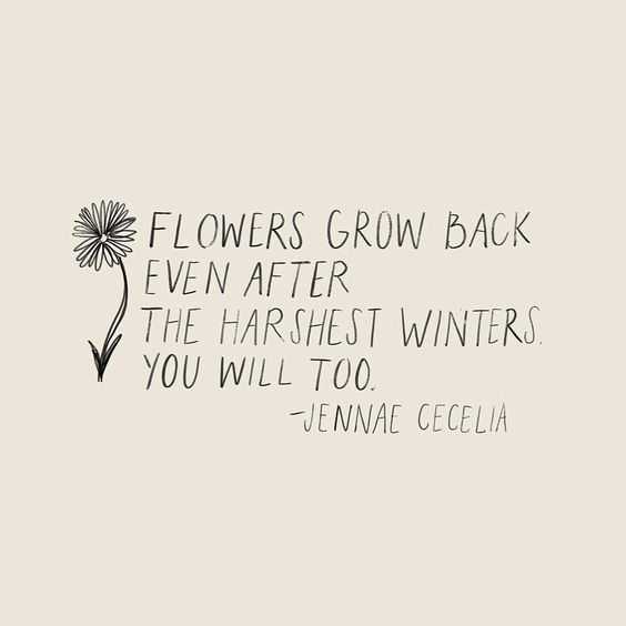quote flowers grow