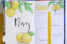 Diy May Lemon