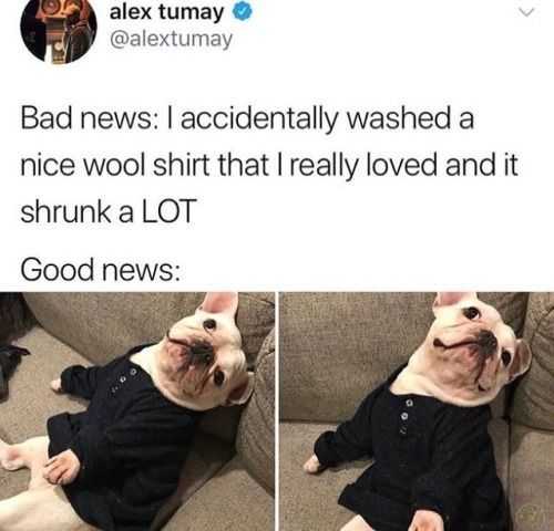 Funny Good News