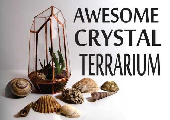 diy ccrystal terrarium