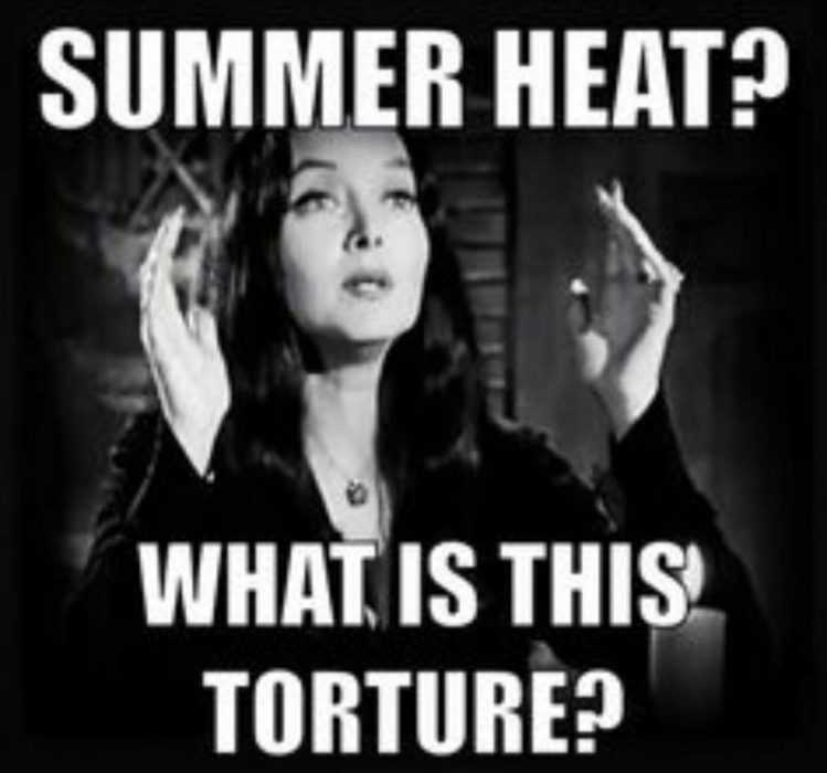 funny what is torture