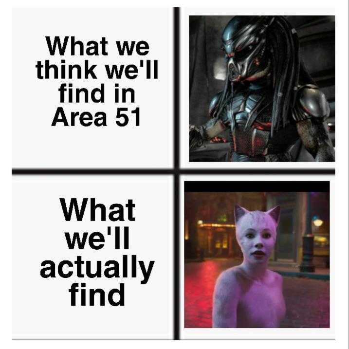 area 51 cats