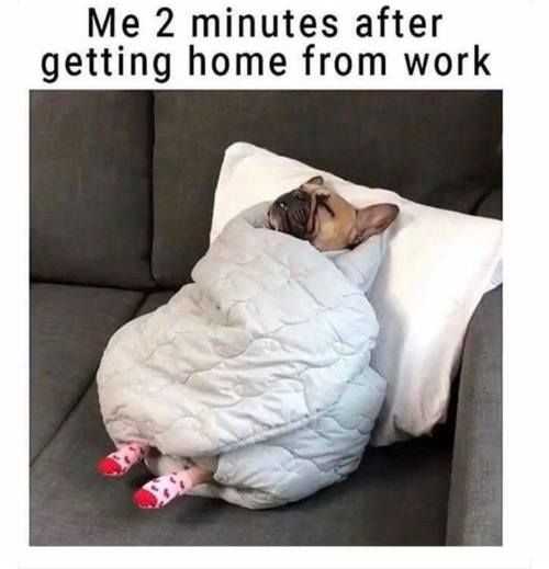 Funny 2 Minutes After