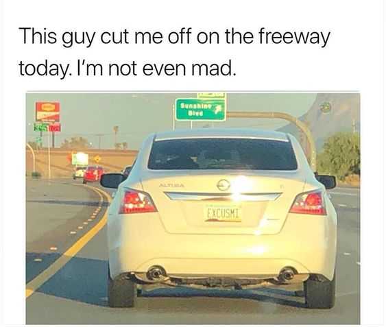 Funny Excuse Mi License