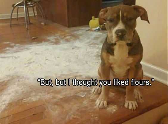 Funny Flours