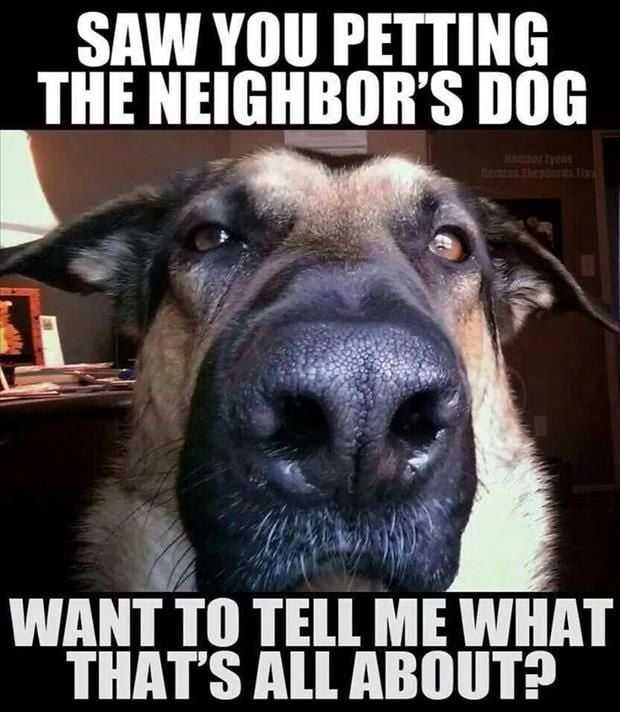 Funny Petting Animal