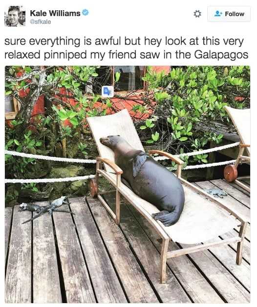 Funny