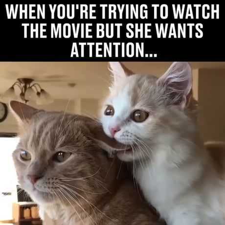 Funny Trying Movie