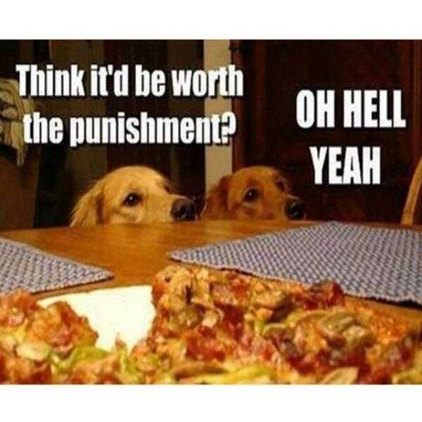 Funny Worth Pizza