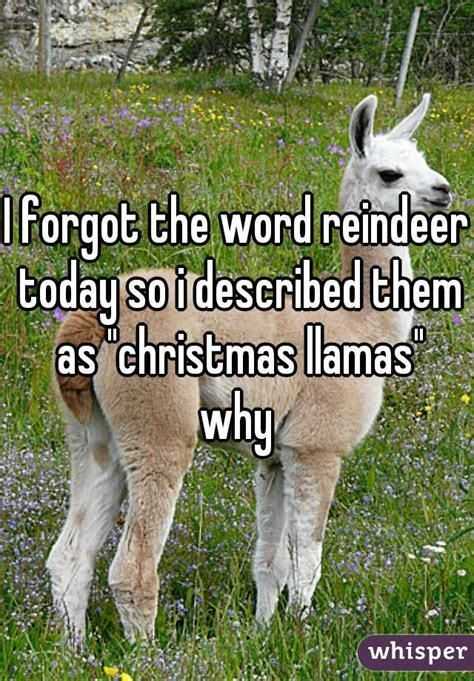 Funny Christmas Llama