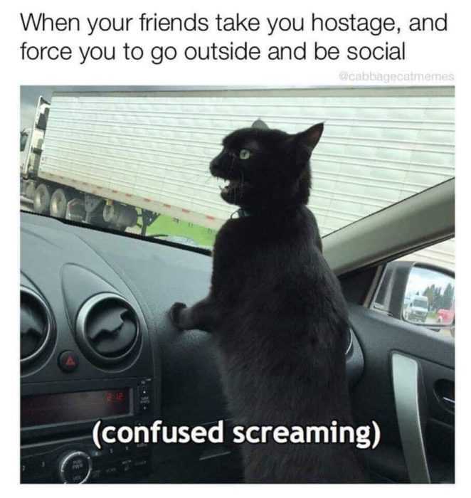 Funny Confused Screaming