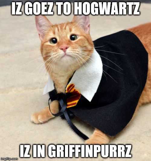 Funny Griffin