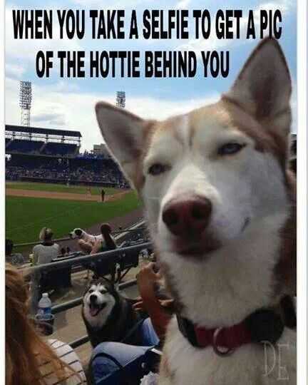 Funny Selfie Hot