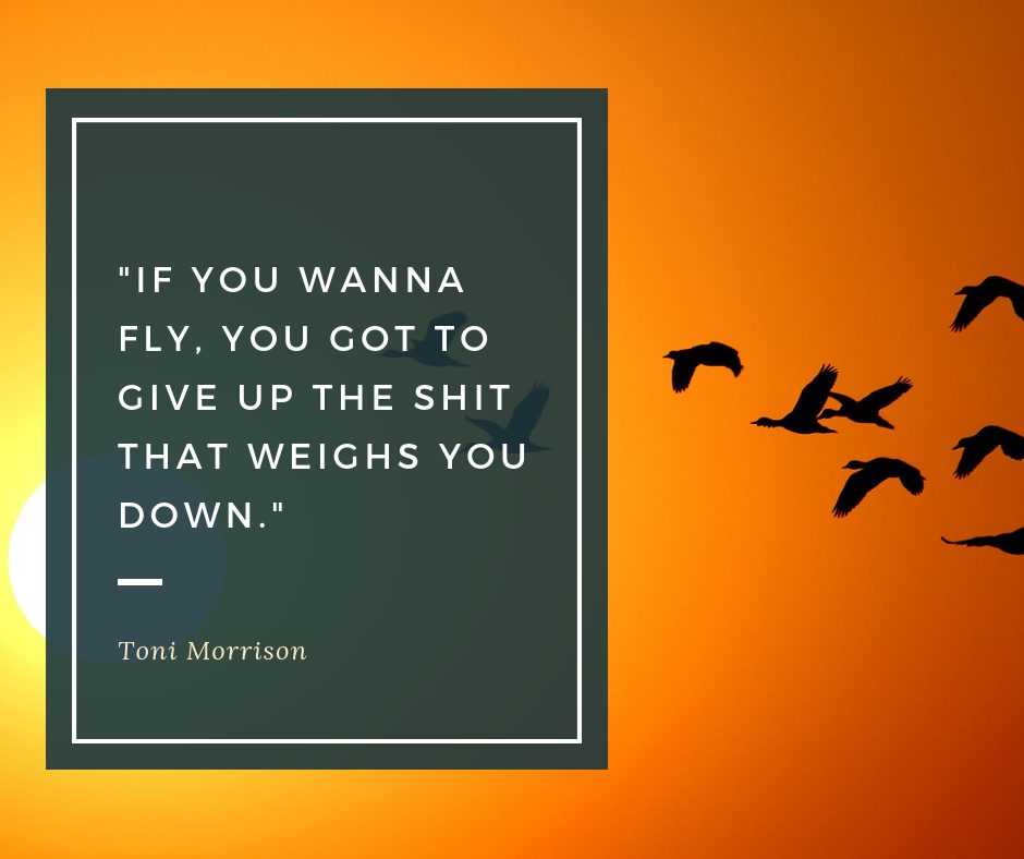 Quote Fly Give Up