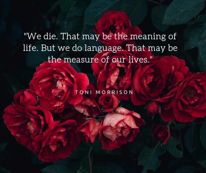 Quote We Die