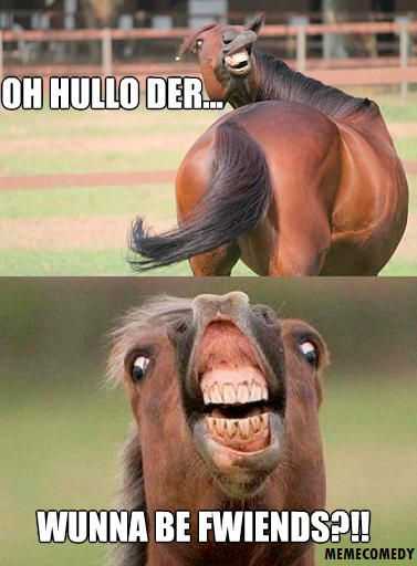 Angry Horse Friends