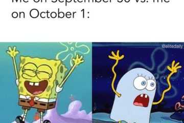 Fall Waiting For