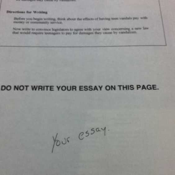 funny your essay