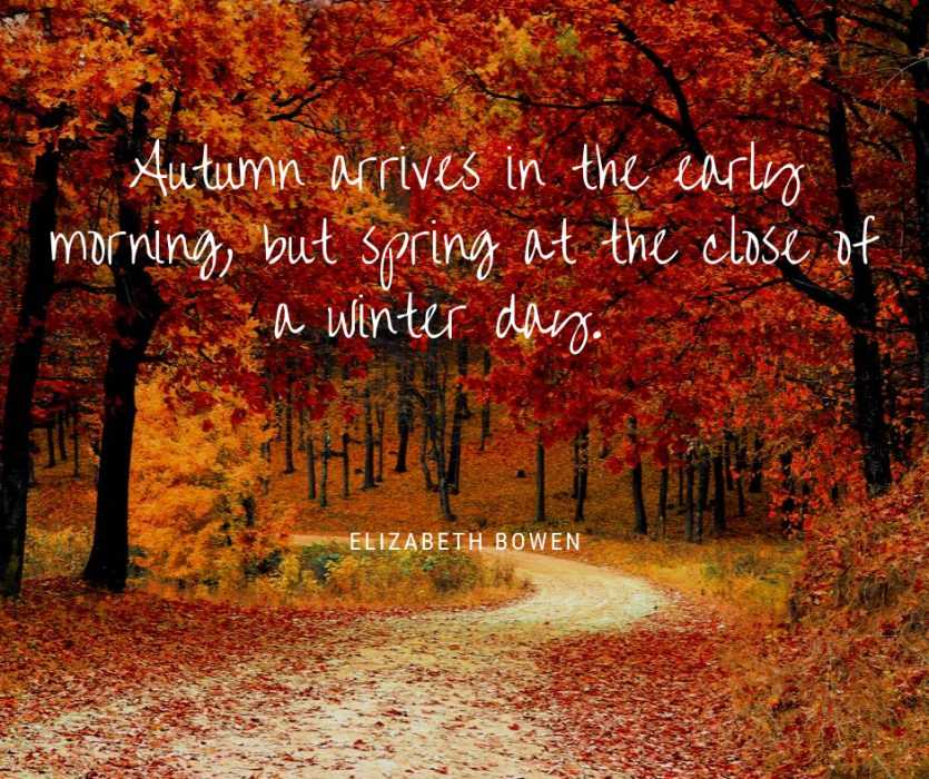 quote autumn arrives