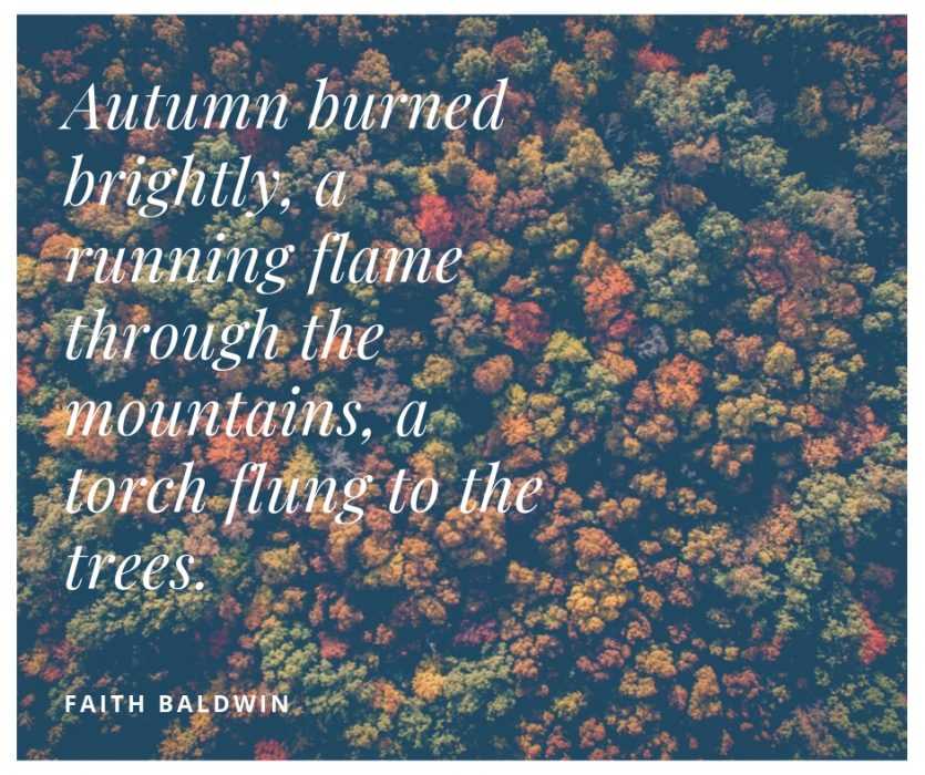 quote autumn burned