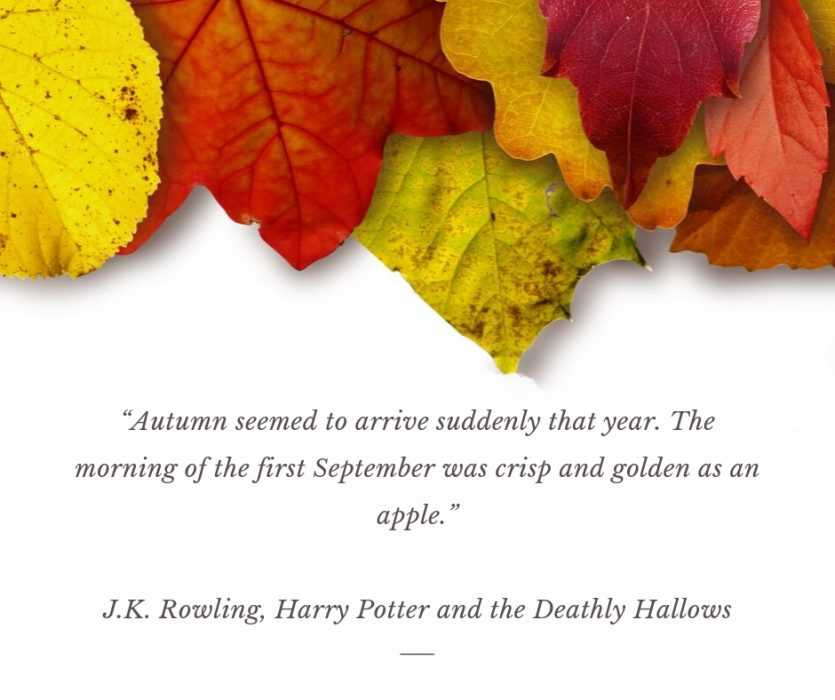 quote autumn seemed