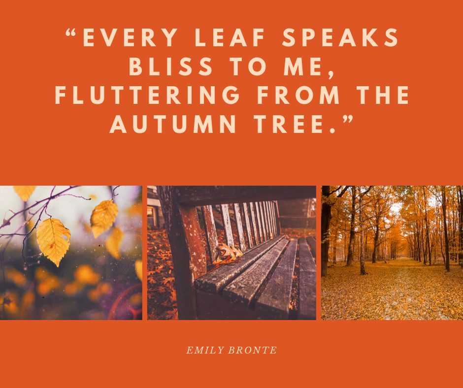 quote autumn tree