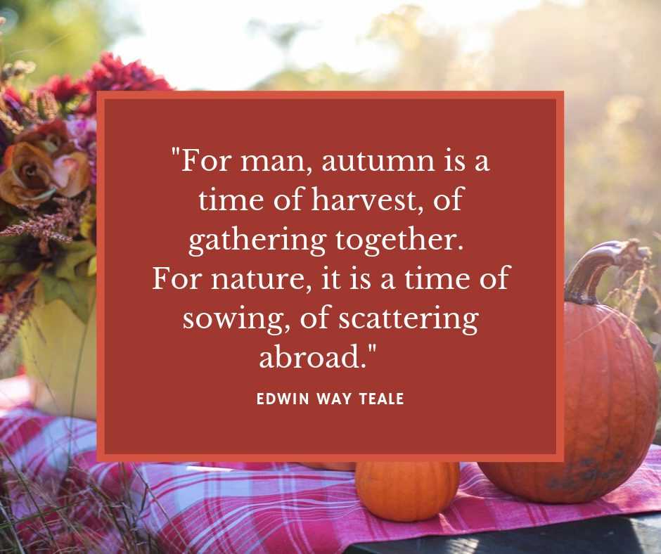 quote harvest autumn