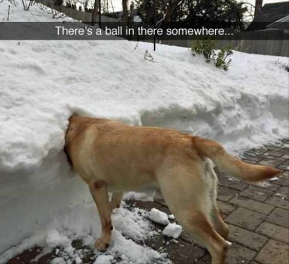 Funny Ball There