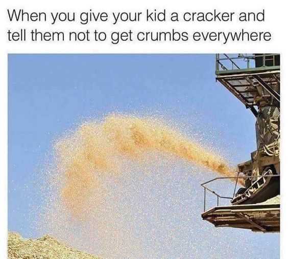 funny crumbs
