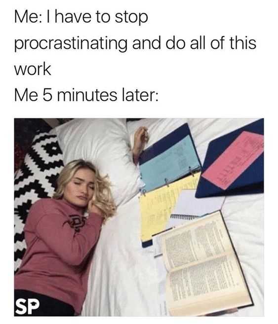 meme showing a student napping next to open books captioned i have to stop procrastinating and do all of this work