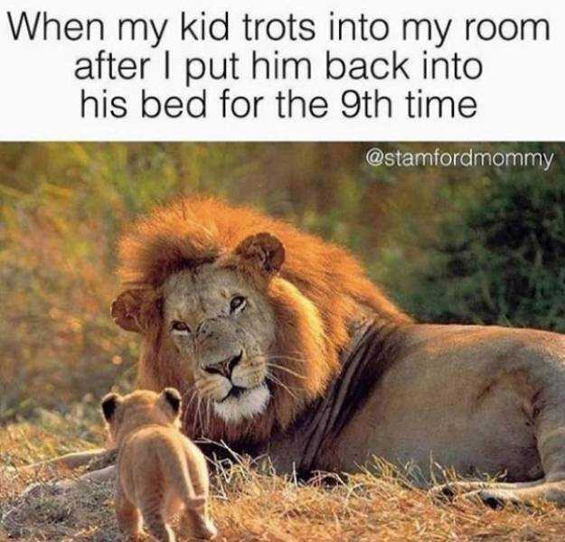 31 Funny Parenting Memes to Read After Putting the Kids to Bed