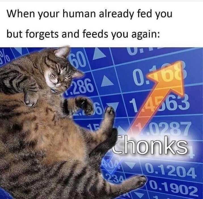 funny chonks